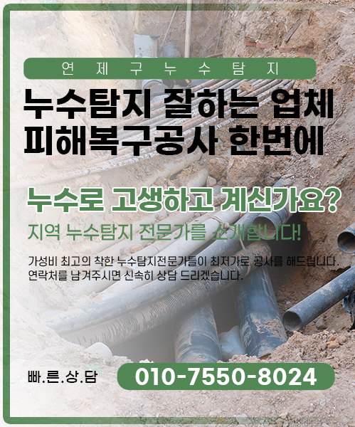 누수탐지 잘하는 업체 피해복구공사 한번에 모바일 비주얼 0